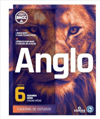 Material Anglo — Novos desafios